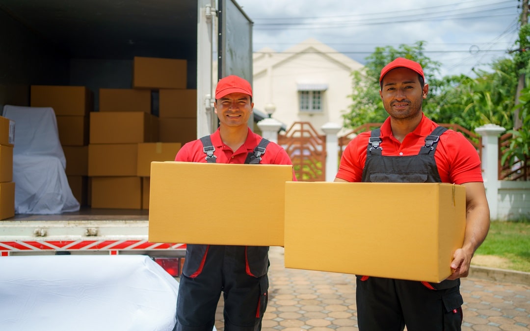 employees of the House Removals company